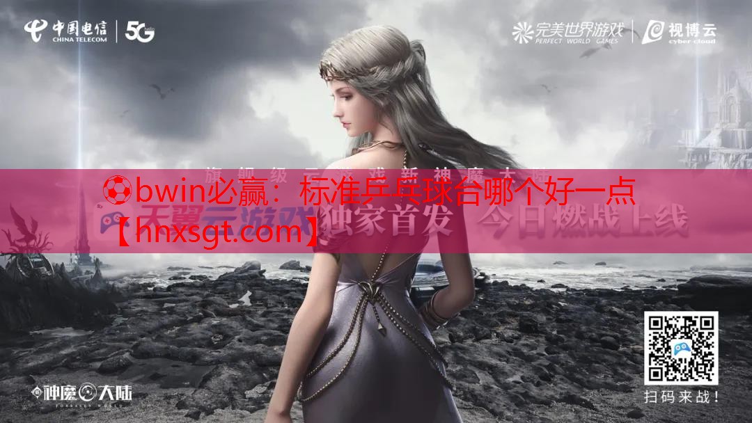 标准乒乓球台哪个好一点
