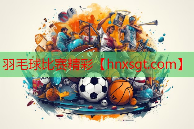 羽毛球比赛精彩