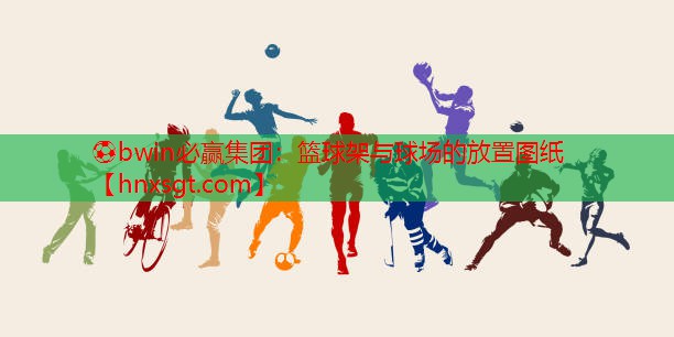 篮球架与球场的放置图纸